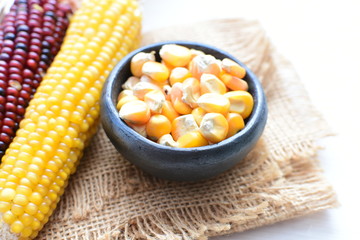 Diversity of very colorful, organic and natural corn