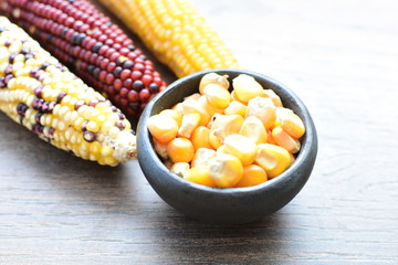 Diversity of very colorful, organic and natural corn