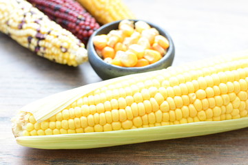 Diversity of very colorful, organic and natural corn