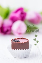 Hello Spring concept. Inscription, text, words. Chocolate candy and pink tulips on a white background