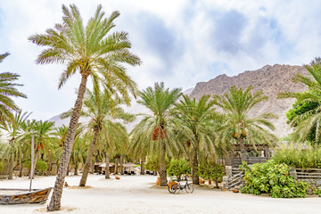 Fototapeta na wymiar Omani Resort at Zighy Bay in Musandam, Oman.