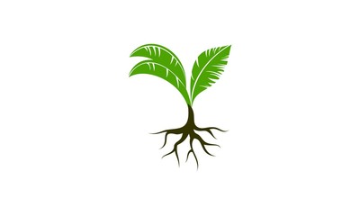 Plant seed vector icon