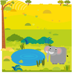 cartoon safari scene with wild animal elephant on the meadow illustration