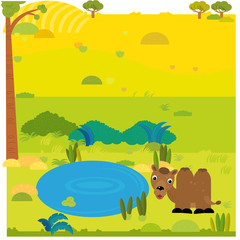 cartoon safari scene with wild animal camel on the meadow illustration