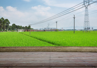 Green field under the sun. Wooden planks floor. Beauty nature background.