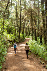 Obraz premium el terrero