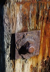wood, old, door, wooden, texture, weathered, metal, tree, brown, rusty, rust, abstract, wall, hole, detail, board, house, rough, fence, antique, plank, iron, timber, vintage, paint