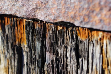 texture, wood, tree, bark, old, brown, nature, wooden, pattern, trunk, textured, natural, abstract, rough, wall, timber, weathered, dirty, surface, material, close-up, backgrounds, plant, design, pine