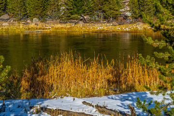 MADISON RIVER LATE LIGHT, GRASSES, YELLOWSTONE