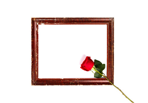 Flowers composition. Photo frame, Red roses on white background.