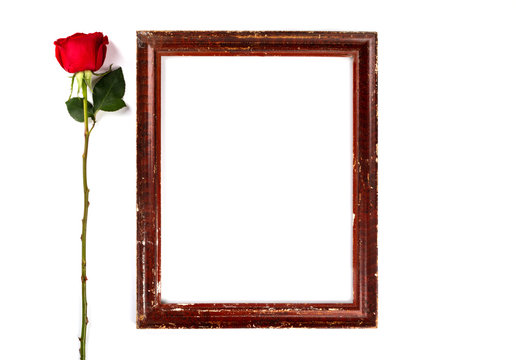Flowers composition. Photo frame, Red roses on white background.