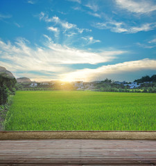 Green field under the sun. Wooden planks floor. Beauty nature background.