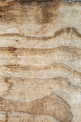 Wood texture