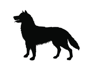 Vector black husky dog silhouette isolated on white background