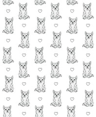 Vector seamless pattern of hand drawn doodle sketch corgi dog isolated on white background