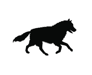 Vector black running husky dog silhouette isolated on white background