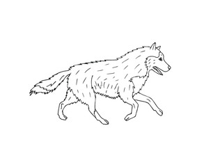 Vector hand drawn doodle sketch running husky dog isolated on white background