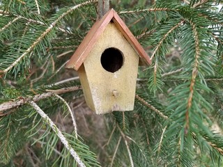 Cute tiny birdhouse hanging in pine tree close-up