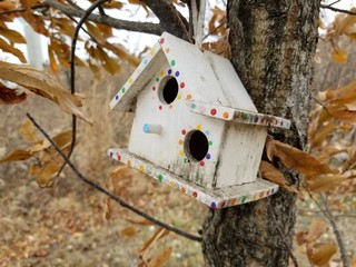 Tiny vintage white birdhouse with two openings hanging in tree