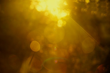  background of diffused light blends with golden bokeh.