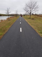 Paved walking path in public park by lake with group of walkers in distance