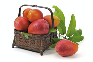 Irwin mango on the white background