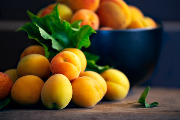 Close up of overflowing bowl of organic apricots and leaves on rustic wooden chopping block