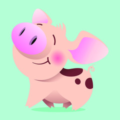 spotted pig smiling while walking