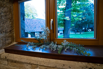 window with flowers