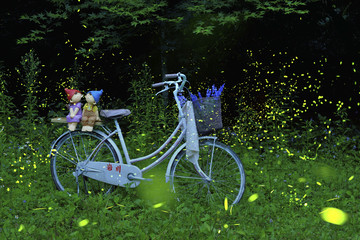 Firefly at the night in the Zhuolan Miaoli