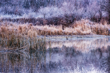 Beautiful nature scenes