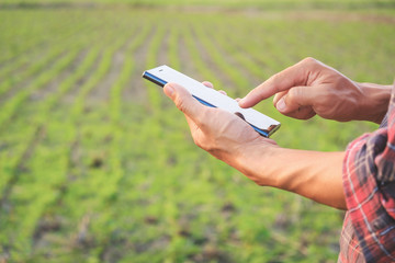 farmer using mobile checking report of soybeans  in farm with copy space