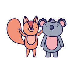 cute squirrel and koala cartoon on white background