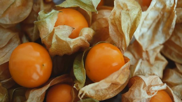 Close up rotation of fresh cape gooseberry fruit , 4k resolution