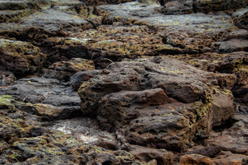 black rocks on the beach