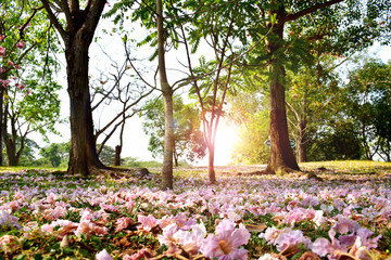 Fresh atmosphere with flowers and green tree in the park