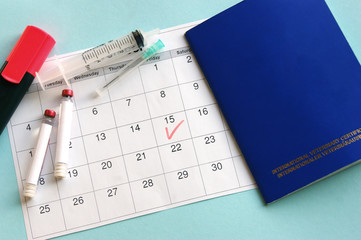 Fototapeta premium Blue International veterinary (pet) passport, syringe and ampoule with liquid on a light blue background.