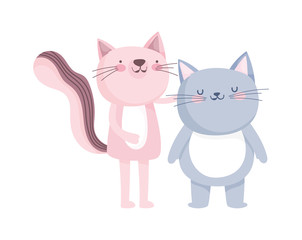 little cat and pink cat cartoon character on white background