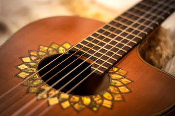 Fototapeta premium acoustic guitar on green background