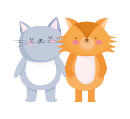 little cat and fox cartoon character on white background