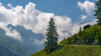 Naklejka premium Switzerland, Panoramic view on green Alps near Schynige Platte, Saxeten