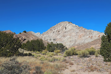 Rock formations and vegetation at Plaza Blanca near Abiquiu, New Mexico