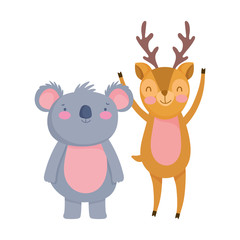 cute deer and koala cartoon on white background