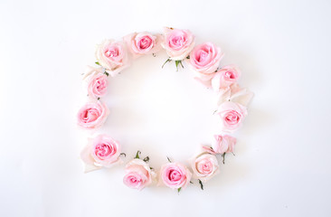 pink roses on a white background. View from above