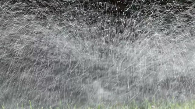 Automatic sprinklers spraying water on green lawn, 4k