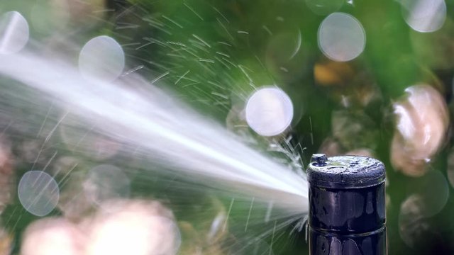 Automatic sprinkler watering green lawn, close-up on irrigation sprinkler head