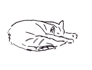linear black and white drawing of a sleeping cat