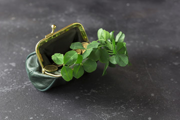 Fresh clover leaves from a green purse and gold coins are scattered on a dark background. St. Patrick's Day concept. Copy space for text, flat lay
