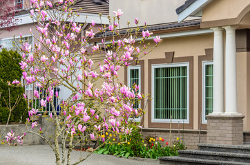 Fototapeta na wymiar A perfect neighborhood. Houses in suburb at Spring in the north America