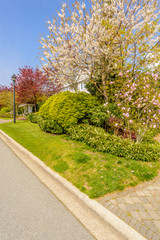 A perfect neighborhood. Houses in suburb at Spring in the north America.